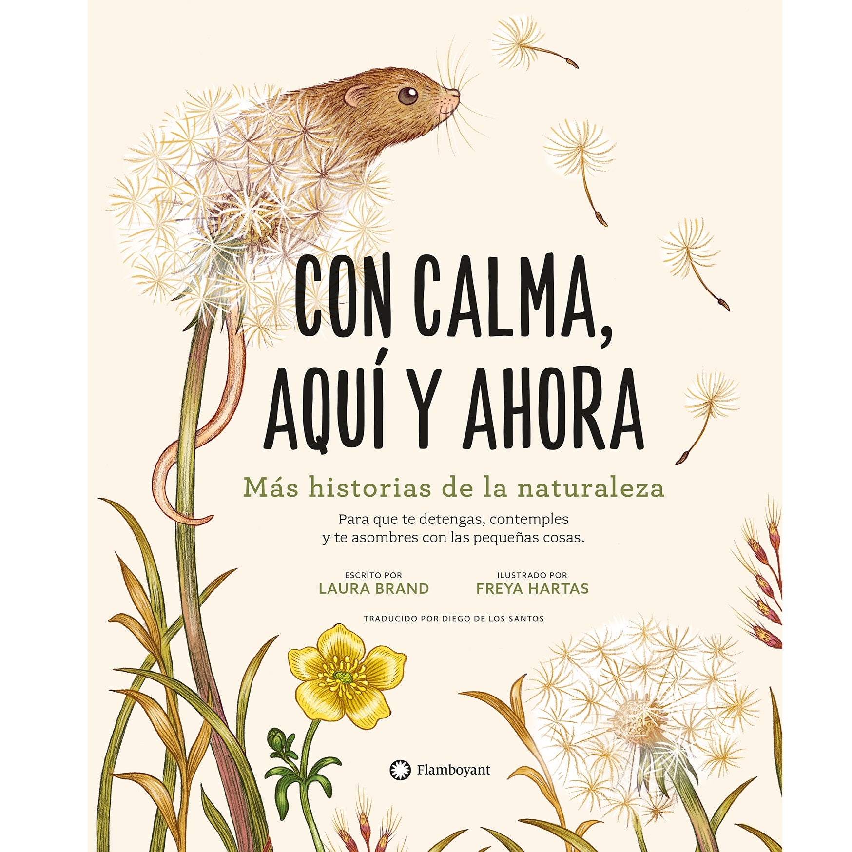 Con calma, aquí y ahora Con calma, aquí y ahora